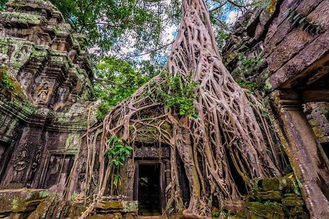 Angkor wat and Small group temples Full day tours - The Terraces show Angkor’s public and royal side