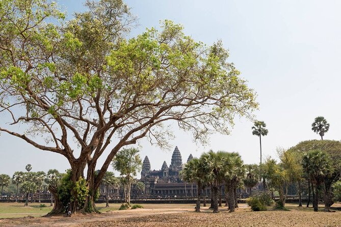 Angkor Wat, Angkor Thom & Elephant Terrace Half-Day Tours - Is $43 a fair price?