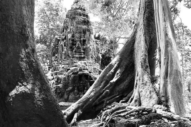 Angkor Wat & Banteay Srei 1-Day Tour - Why the 5:00 am start is worth considering