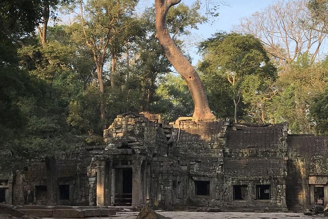 Angkor Wat by Vintage Jeep – Private Tour - Why a vintage Jeep can improve your Angkor day