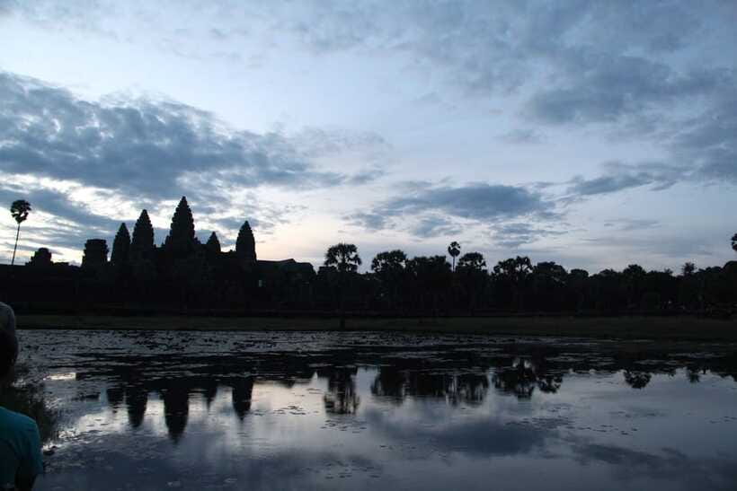 Angkor Wat Full-Day Private Tour with Sunrise - Ta Prohm, where stone meets the jungle