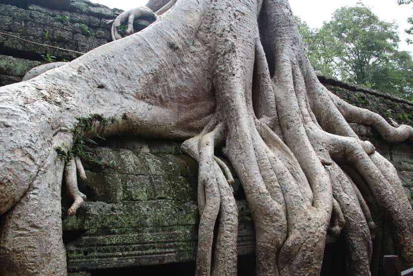 Angkor Wat Full-Day Private Tour with Sunset - Lunch at 12:30 PM, Then a Change of Pace