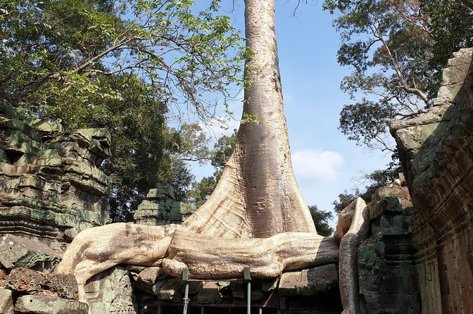 Angkor Wat Full Day Tour in Siem Reap Small-Group - Why the later start works well at Angkor Wat