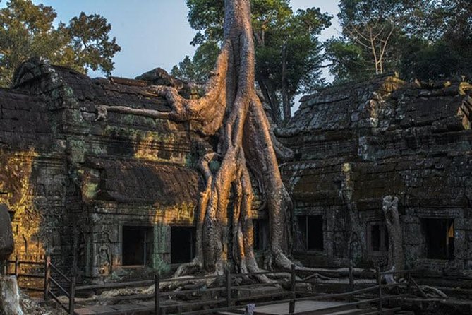 Angkor Wat highlight Tour From Sunrise -Small Group - Who should book this sunrise tour?