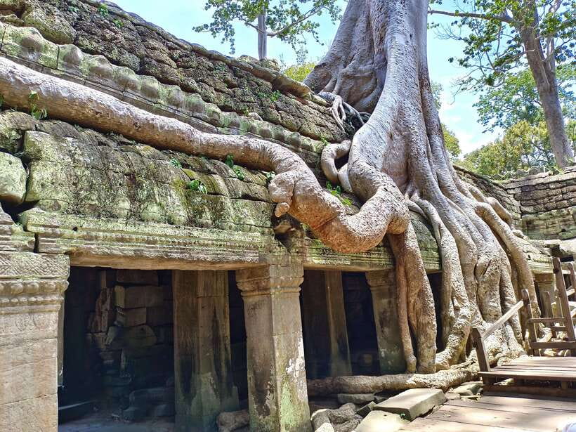 Angkor Wat: Highlights and Sunrise with Spanish Guide - Why this Spanish-language Angkor tour works