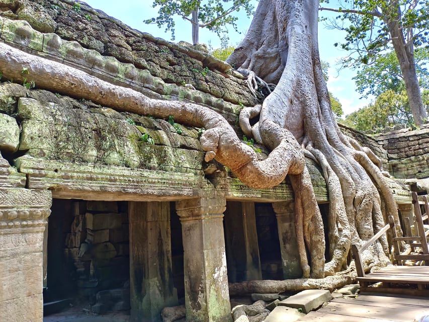 Angkor Wat: Highlights and Sunrise with Spanish Guide - The South Gate and the gods and demons