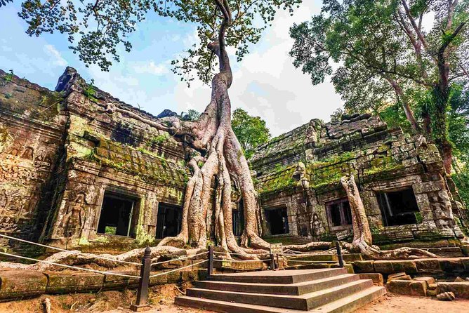 Angkor Wat Private Day Tour from Siem Reap - Ta Prohm, where trees take over the ruins