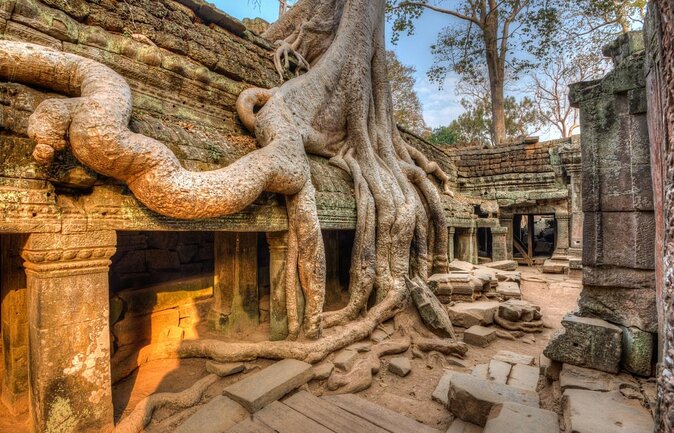 Angkor Wat Private Driver Tours to Angkor Wat Sunrise, Angkor Thom & Ta Prohm - Key Points At A Glance