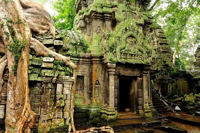 Angkor Wat Private Tour with English Speaking Driver, NO guide - Ta Prohm and the trees among the ruins