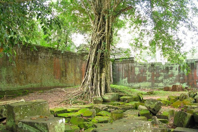 Angkor Wat Private Tour with English Speaking Driver, NO guide - Why a private driver can be better than a group bus