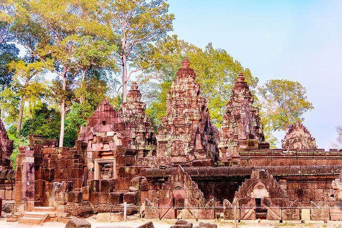 Angkor Wat Private Tours - Ta Prohm, the Tomb Raider temple