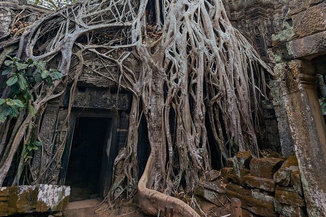 Angkor Wat Private Tuk-Tuk Tour (sunrise Option) & more - Geko and the local driver experience
