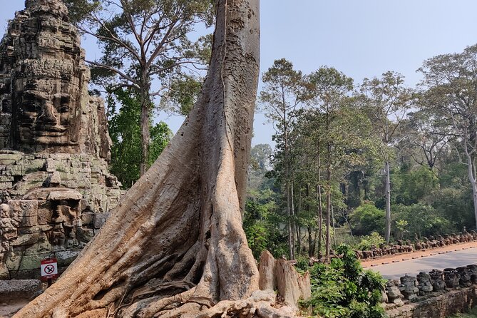 Angkor Wat Private Tuk-Tuk Tour (sunrise Option) & more - Water, towels, rain gear, and family comfort