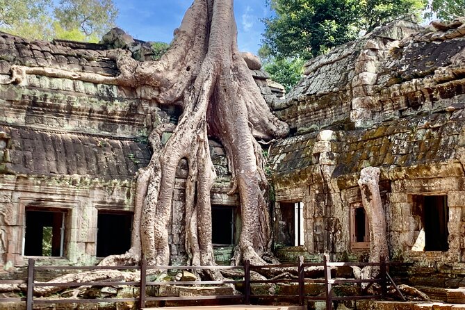 Angkor Wat Small Circuit & Sunset Tour - Ta Keo: a short climb and open views