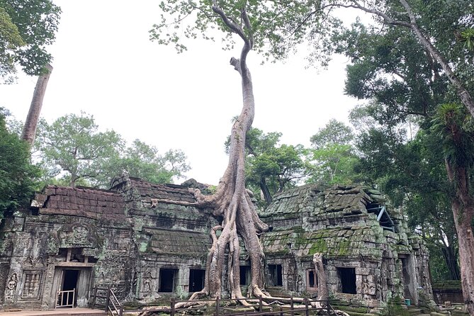 Angkor Wat Small Circuit & Sunset Tour - Is $54 a fair price?