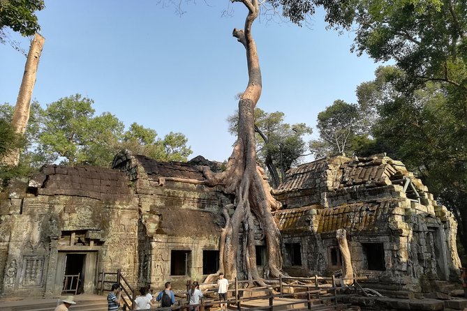 Angkor Wat Small Circuit Tour - Why this four-temple route works