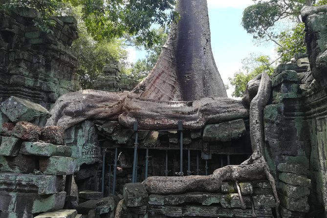 Angkor Wat Small Circuit Tour - Ta Prohm: the Tomb Raider temple