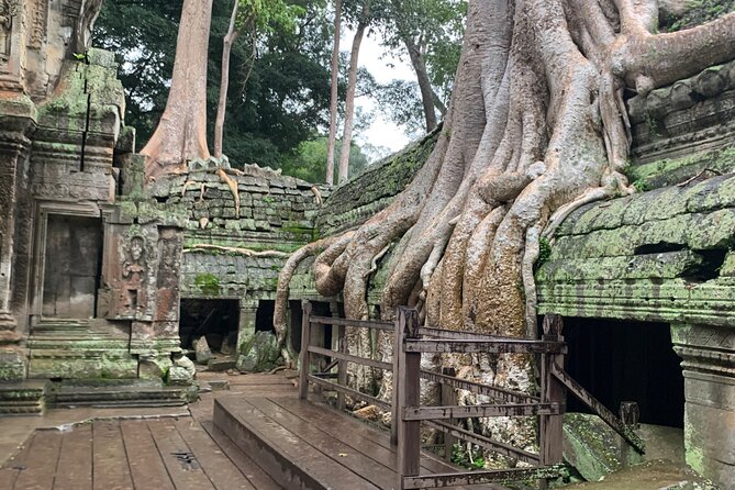 Angkor Wat Small Circuit Tour - Private transport, cold water, and the pace of the day