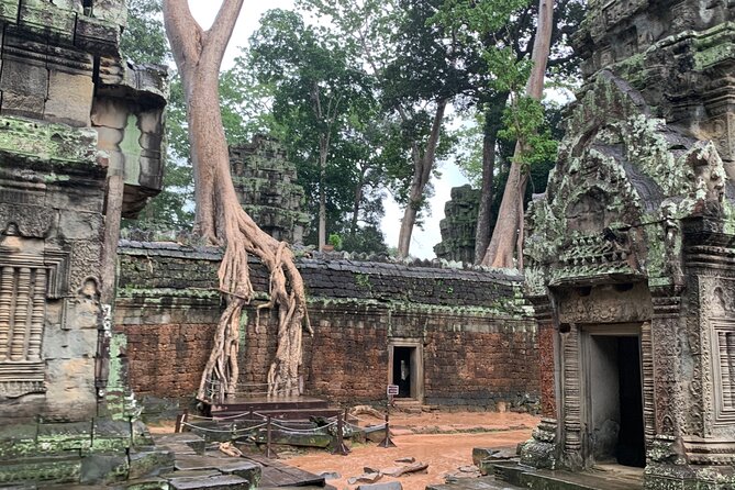 Angkor Wat Small Circuit Tour - What your guide adds to the ruins