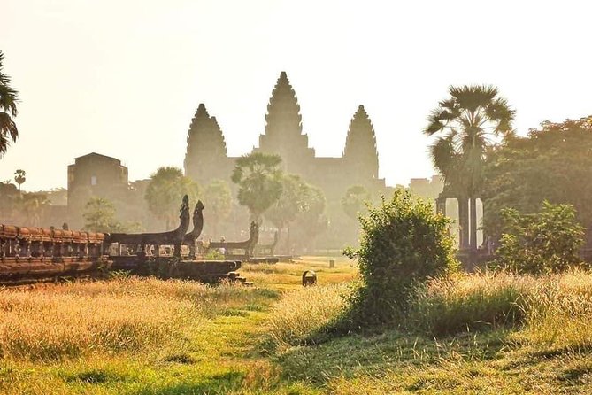 Angkor Wat Small-Group Exploration with Expert Guide - Guide quality and the human touch