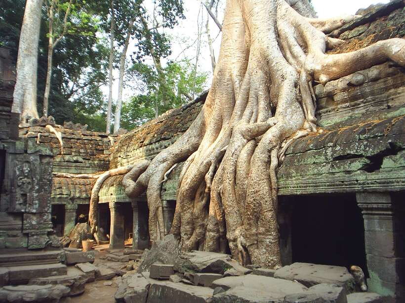 Angkor Wat: Small-Group Tour with Balloon Ride and Lunch - Angkor Thom and the South Gate