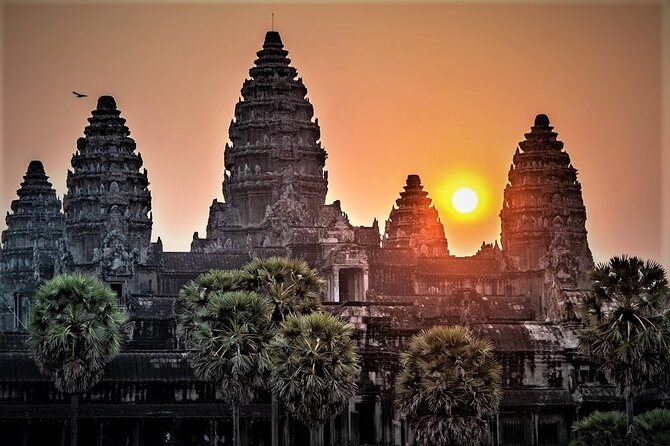 Angkor Wat Sunrise & All Highlight Angkor Temple Private Day Tour - Ta Prohm is famous for its trees, but look past the photograph