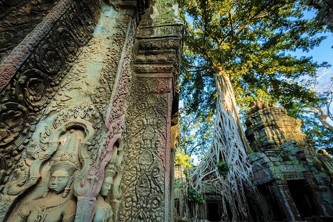 Angkor Wat Sunrise & All Highlight Angkor Temple Private Day Tour - Transport, meals, and the real price
