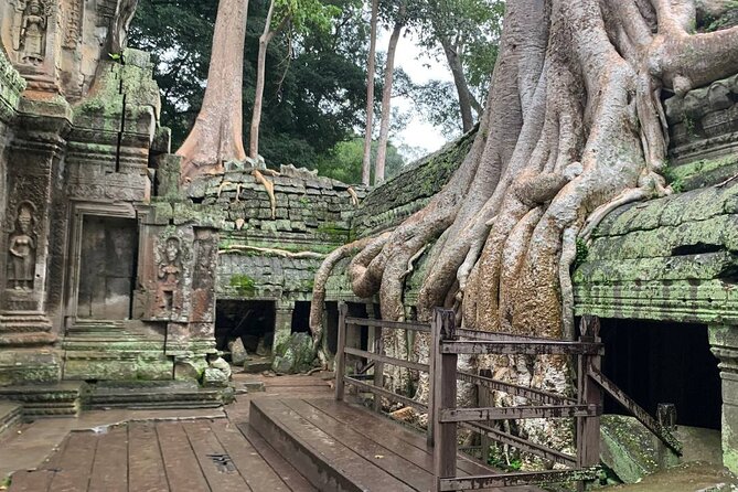 Angkor Wat Sunrise and Tonle Sap Cruise Sunset Tour - Two hours among Ta Prohm’s tree roots