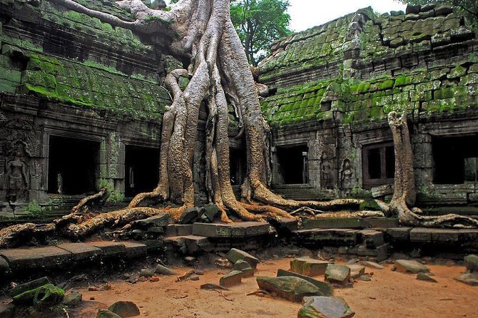 Angkor Wat Sunrise and Tonle Sap Lake 1.5 Days - The Terraces and the royal ceremonial center