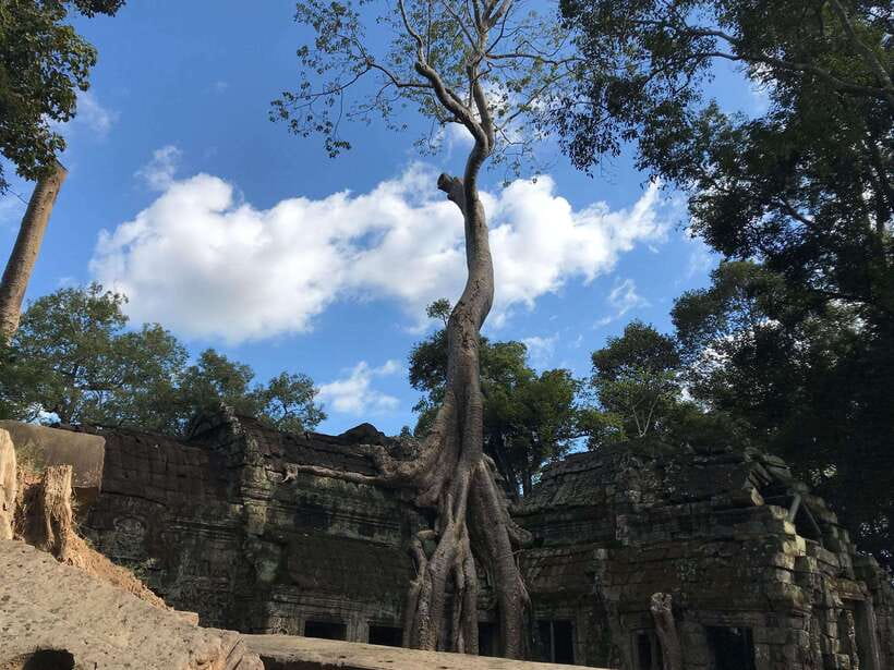 Angkor Wat Sunrise by Vintage Jeep – Private Tour - Before dawn: pickup and the Angkor pass