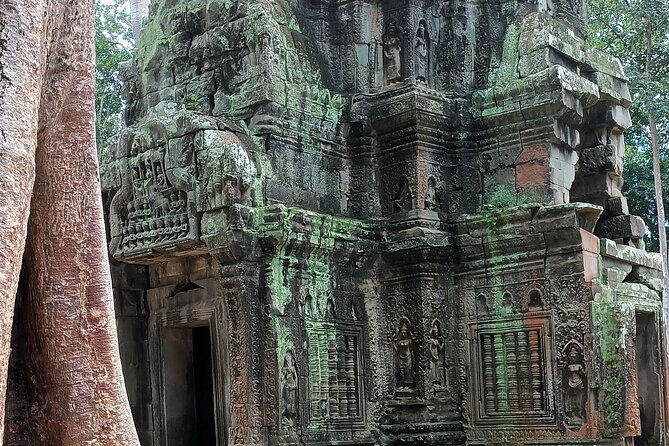 Angkor Wat Sunrise Experience – Ultimate 1-Day Guided Temple Tour - Ta Prohm and the famous tree roots