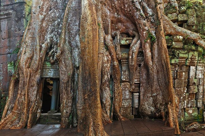 Angkor Wat Sunrise or Sunset Tour with Guide from Siem Reap - Guides, drivers, and the human side of the day
