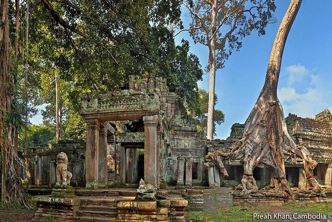 Angkor Wat Sunrise Private Experience with Guide from Siem Reap - Ta Prohm: roots, ruins, and a very different mood