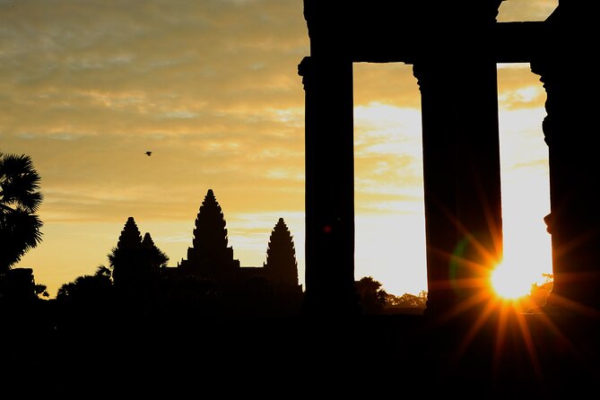 Angkor Wat Sunrise Private Full Day Tour - Ta Prohm and the power of the ruins