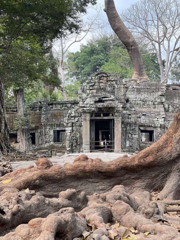 Angkor Wat Sunrise Private Full Day Tour - What the private format really gives you