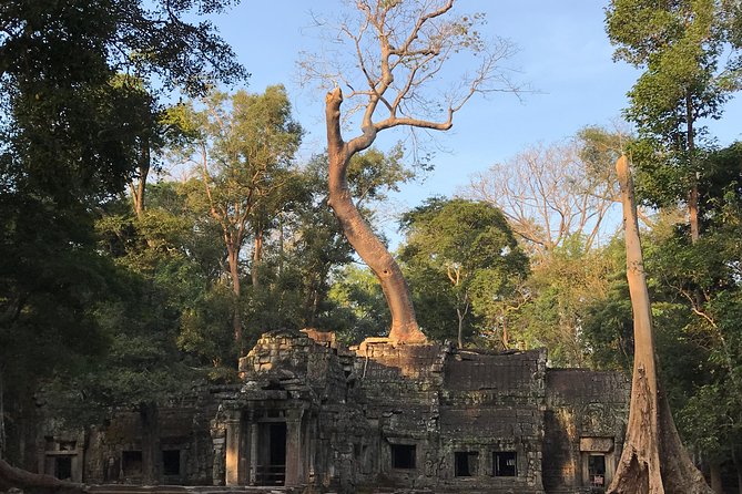 Angkor Wat Sunrise Private Tour by Vintage Jeep - Why this sunrise tour works well