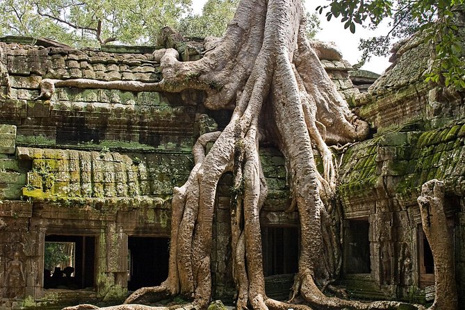 Angkor Wat Sunrise & Small Circuit Tour - The 4:30 a.m. start and the Angkor Pass