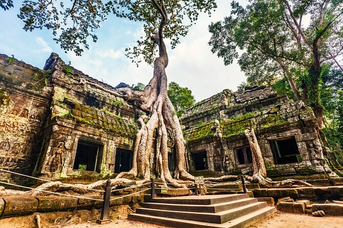 Angkor Wat, Ta Promh, Banteay Srei, Bayon temples Private Tour - Ta Prohm, where trees share the ruins