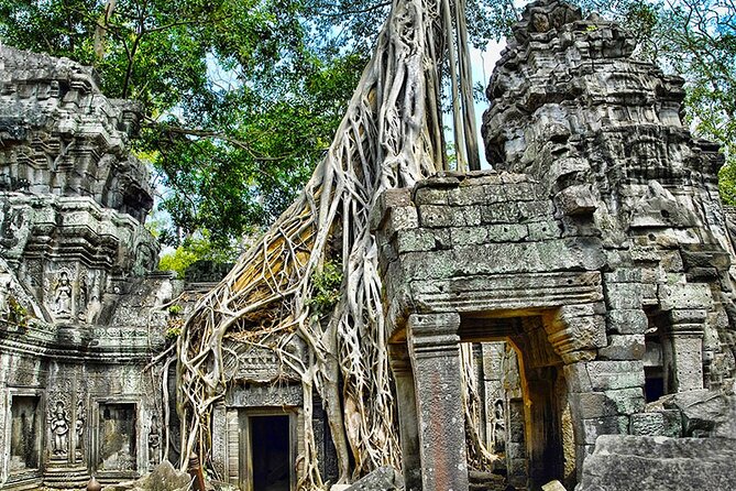 Angkor Wat Temples & Kulen Elephant Forest Day Tour - Lunch before the Kulen Elephant Forest