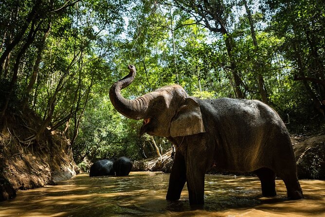 Angkor Wat Temples & Kulen Elephant Forest Day Tour - Two hours inside Angkor Wat