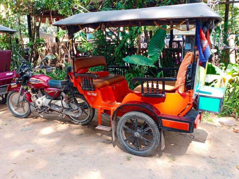 Angkor Wat Tour by Tuk-Tuk with English Speaking Driver - Ta Prohm and the trees that changed its fame