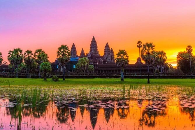 Angkor Wat Tour deutsch - Sonnenaufgang | Private Führung - Ta Prohm, jungle trees, and crumbling stone