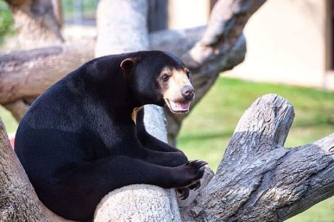 Angkor Wildlife & Aquarium Halfday tour - Why this wildlife outing makes sense in Siem Reap