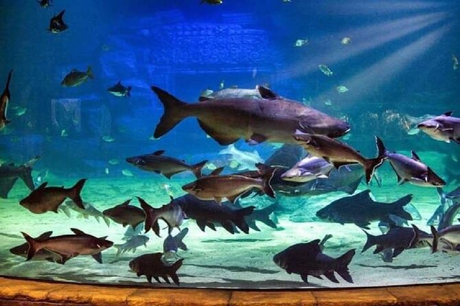 Angkor Wildlife & Aquarium Halfday tour - Who will enjoy this most?