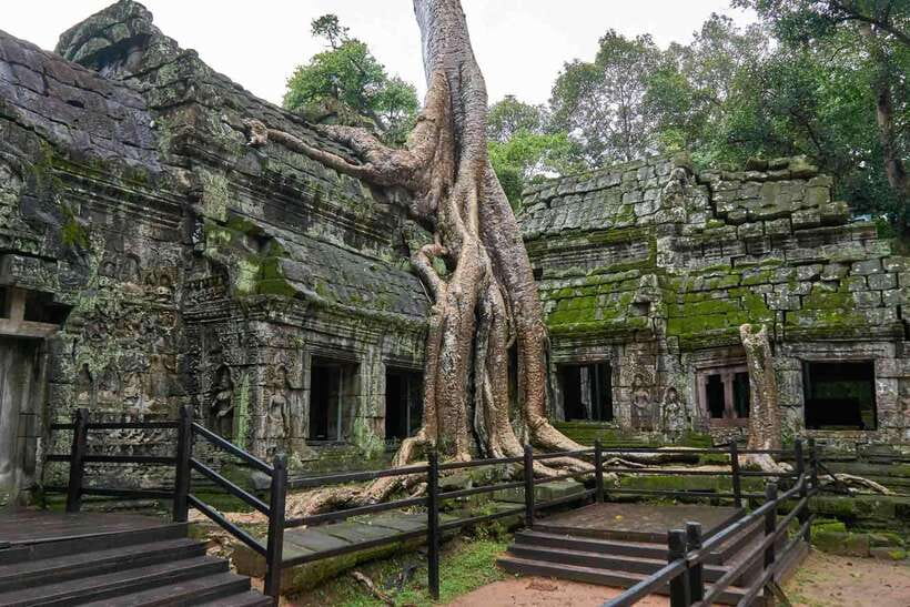 Angkor Zipline and Temple Tour with Sunset - The 7:30 a.m. pickup and ride to the jungle