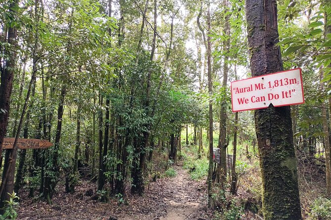 Aural Mountain Trek: Cambodia Tallest Peak Challenge - Reaching 1,813 meters on day two