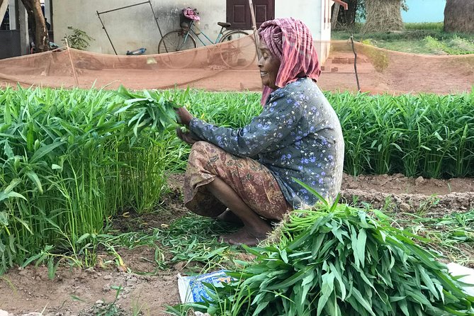 Authentic Cambodian Countryside Jeep Experience - A short village market stop