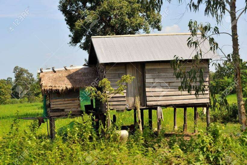Back to Basics: Siem Reap Village Tour in Cambodia - Leaving Siem Reap for the countryside