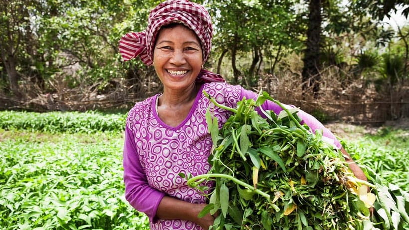 Back to Basics: Siem Reap Village Tour in Cambodia - Basket weaving, wells, and rice wine