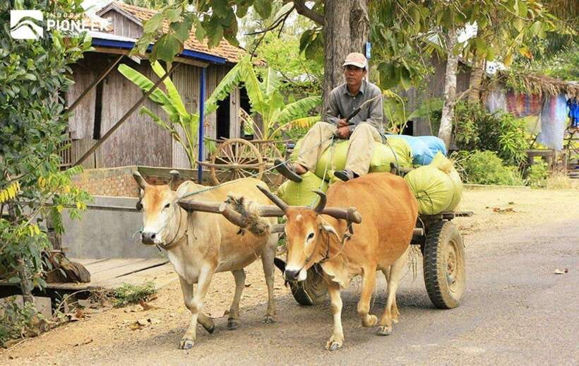 Back to Basics: Siem Reap Village Tour in Cambodia - The guide makes the difference